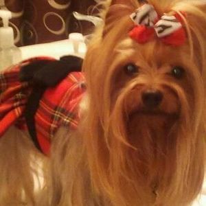 Meet your Posher, Annie b